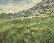 Green Wheat Field (nn04), Vincent Van Gogh